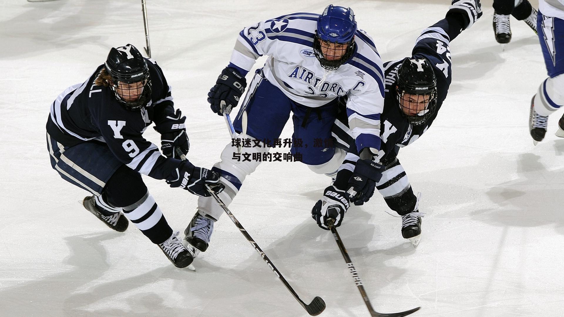 球迷文化再升级，激情与文明的交响曲